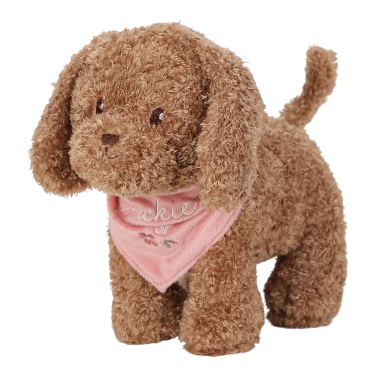 Peluches cane con trasportino