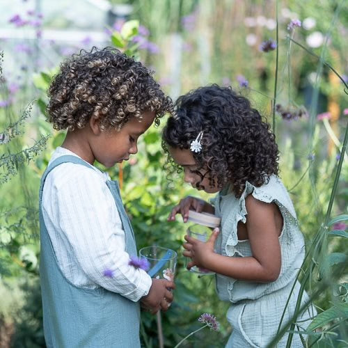 Barattolo per gli insetti Fairy Garden