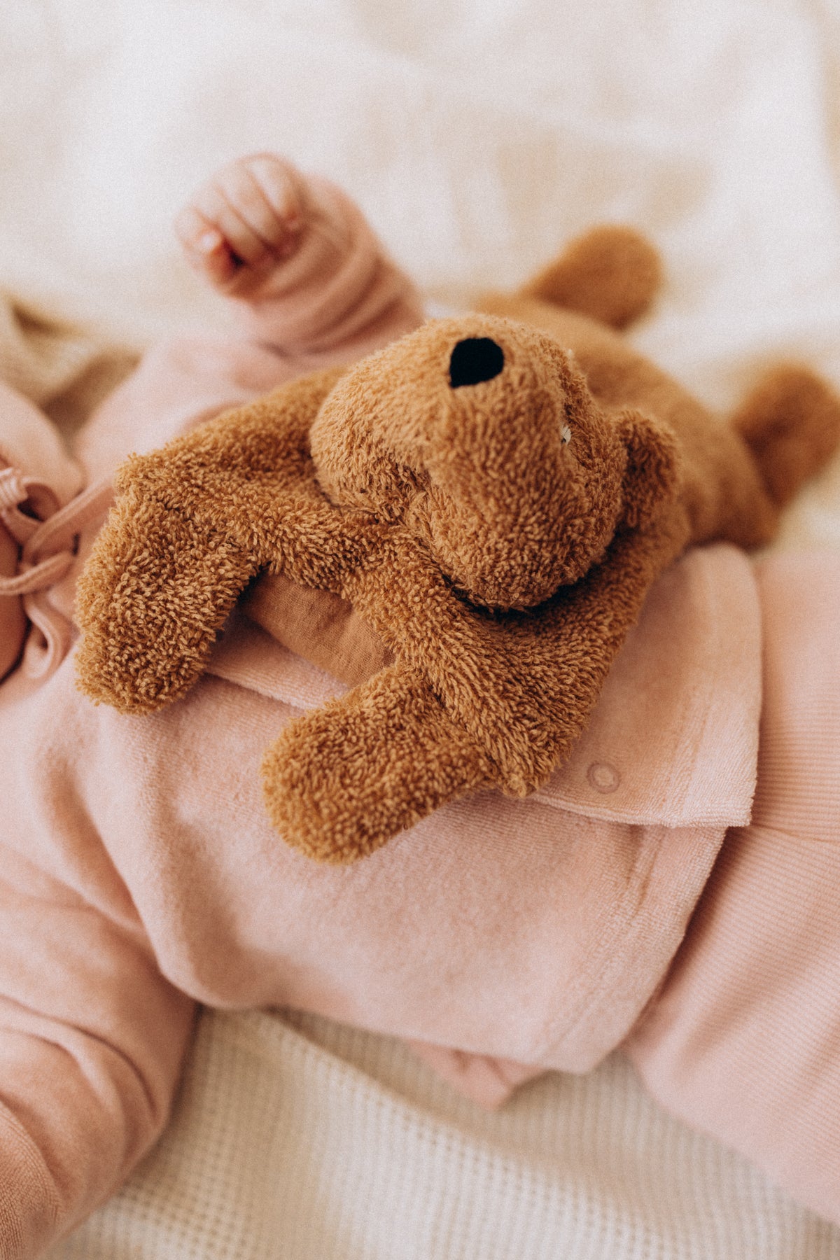 Peluches termico orsetto con noccioli di ciliegia
