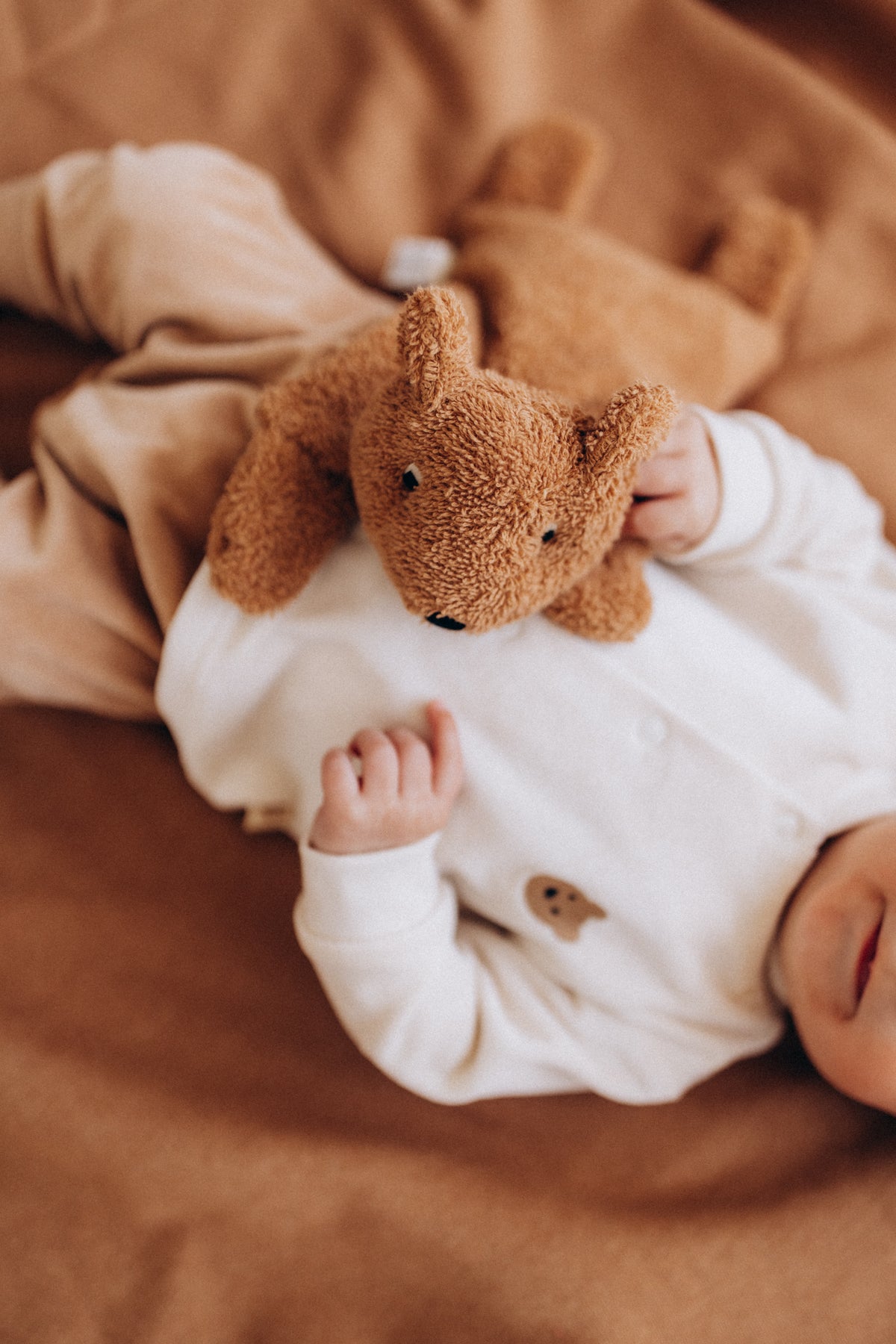 Peluches termico orsetto con noccioli di ciliegia