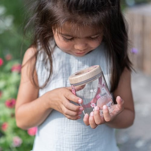 Barattolo per gli insetti Fairy Garden