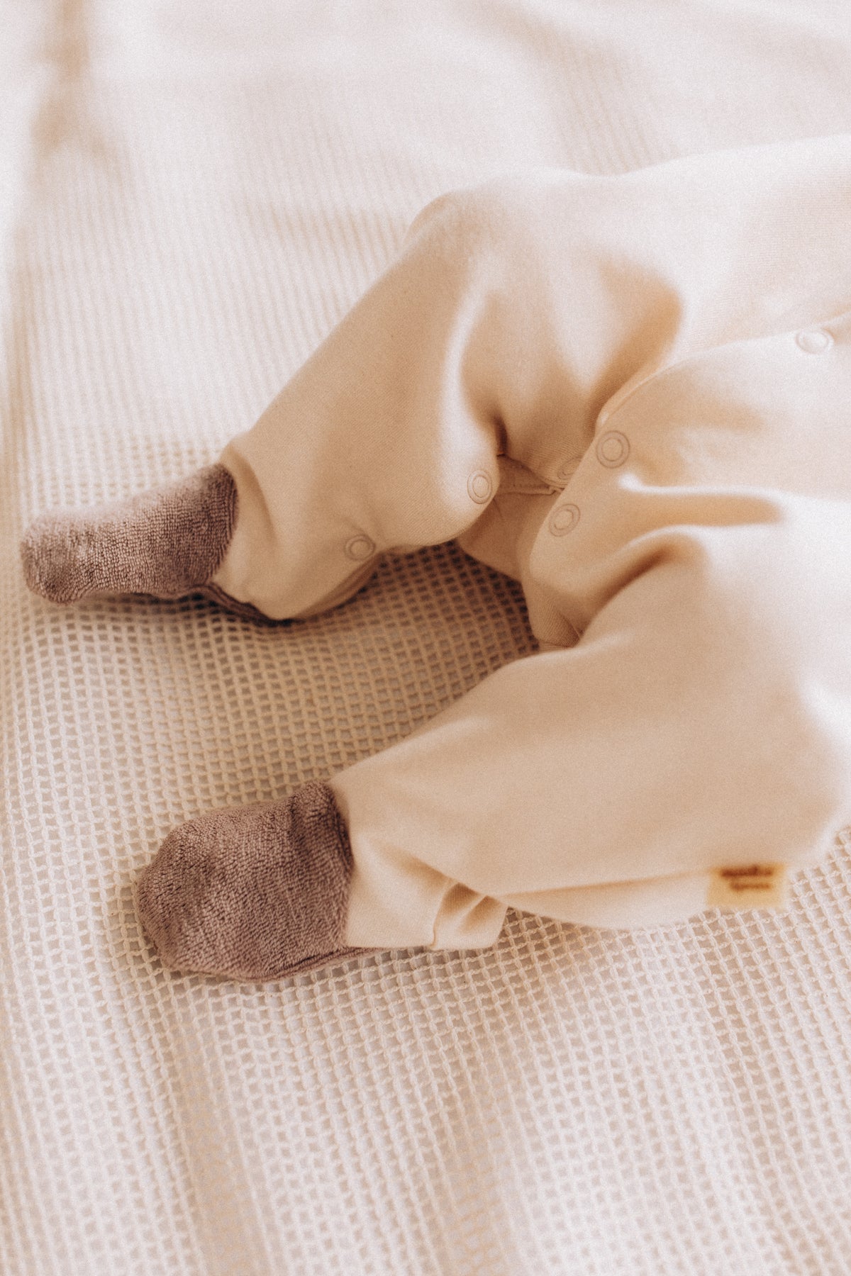 Tutina cagnolino cotone BIO
