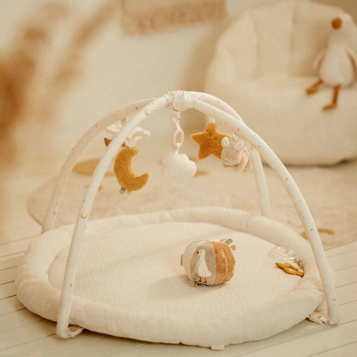 Palestrina morbida New Born Natural