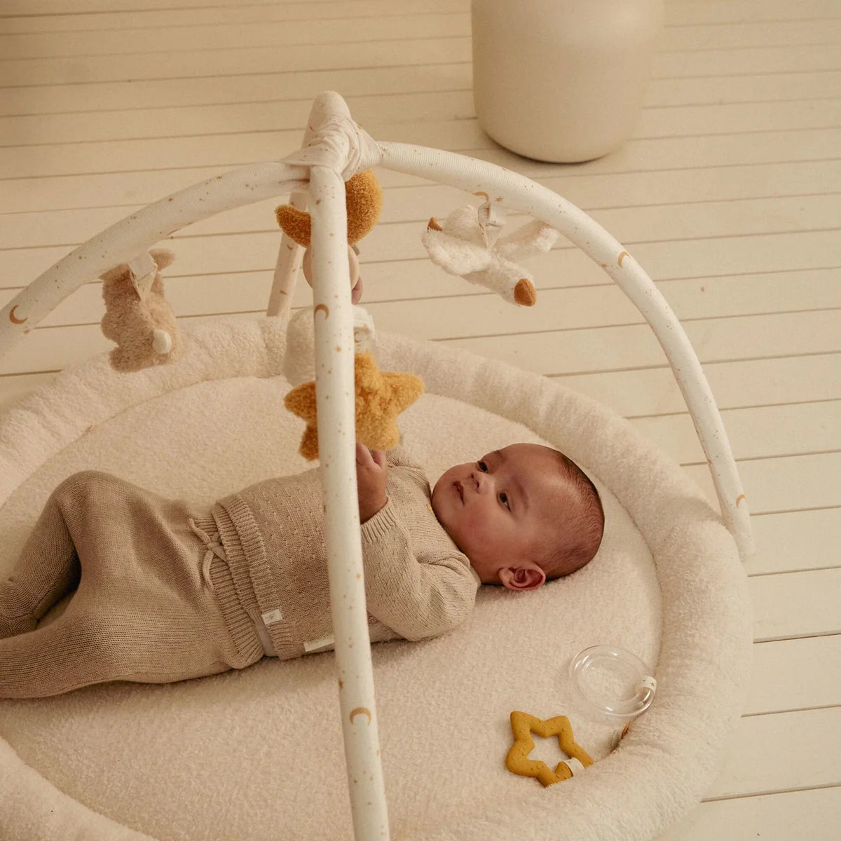Palestrina morbida New Born Natural