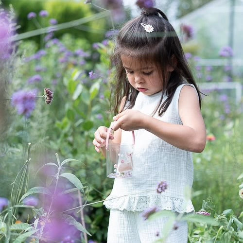 Barattolo per gli insetti Fairy Garden