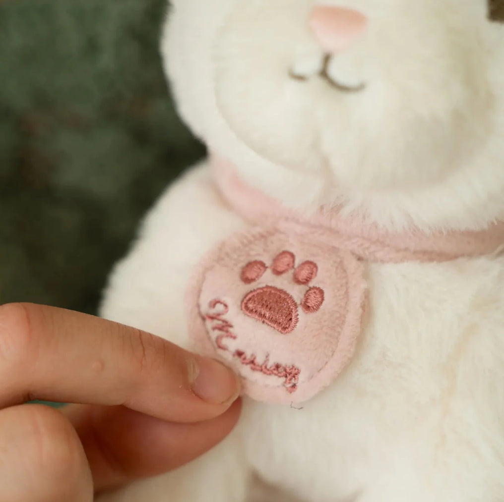 Peluches gatto con trasportino